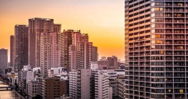 Della Bor Reserve Banner